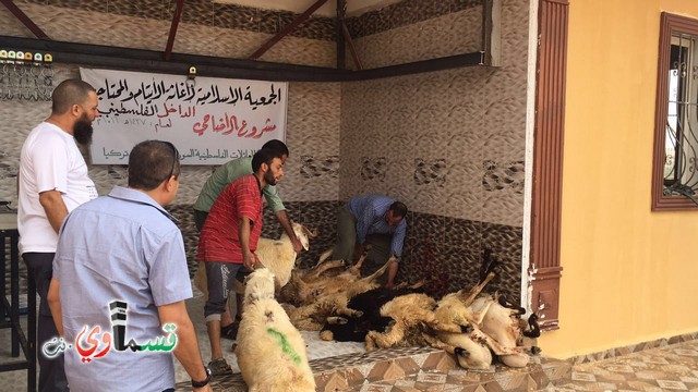 الجمعيه الاسلامية لاغاثه الايتام والمحتاجين توزع الاضاحي على الأهل اللاجئين السوريين والفلسطينين في الجنوب التركي/ والاهل في كفرقاسم في طليعه المتبرعين والمضحون